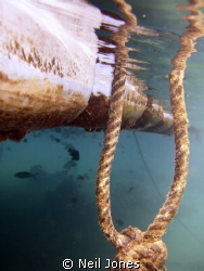 Below the Jetty @ Sharm El Sheik - Fuji F30 No Strobe. Th... by Neil Jones 